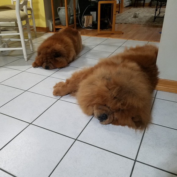 Nothing yet - Picture 3 of 5